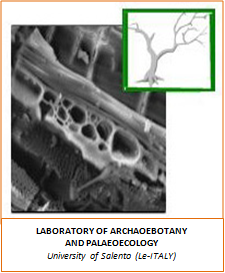Laboratory of Archaeobotany and Palaeoecology
